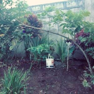 Meet your Posher, Norma